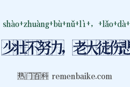 少壮不努力，老大徒伤悲是什么意思的图片